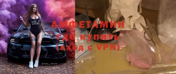 сатива Новосибирск