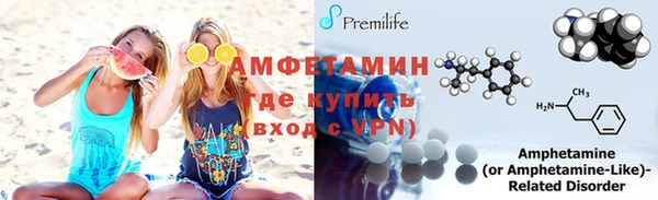 сатива Новосибирск