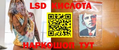 Альфа ПВП Новодвинск